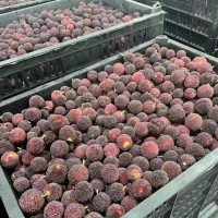 速凍楊梅粒 果汁果肉果塊新鮮凍果原產(chǎn)地工廠直銷 餐飲冷飲用10kg